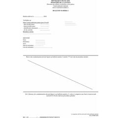 TRADUCTION EXTRAIT DE CASIER JUDICIAIRE