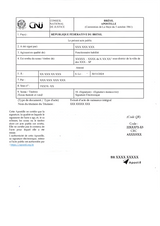 Apostille conforme alla Convenzione dell’Aja – DocuTrad